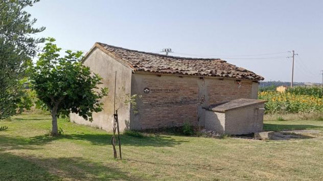 Fano, a pochi passi dal centro abitato di bellocchi, immerso nel verde e comodamente accessibile dalle principali vie di comunicazione, proponiamo in - Foto 4