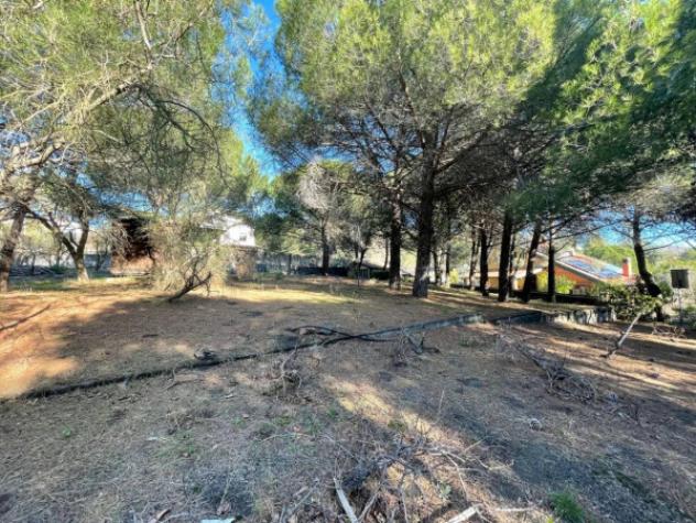 Immobile in asta di 1357 m² in vendita a Nicolosi - Foto 3