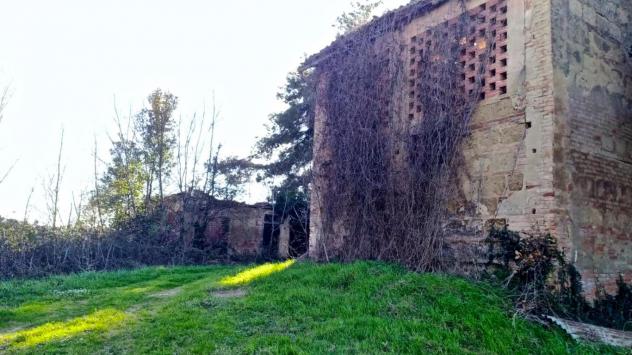 Bellissimo Casale Diruto Da Restaurare Immerso nel Verde delle Colline Pisane della Valdera