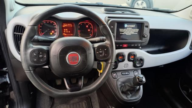 FIAT Panda Cross Panda 1.0 firefly hybrid Cross s&s 70cv 5p.ti - Foto 8