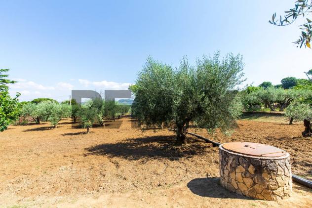 Villa singola in vendita a Piazza Armerina - Foto 19