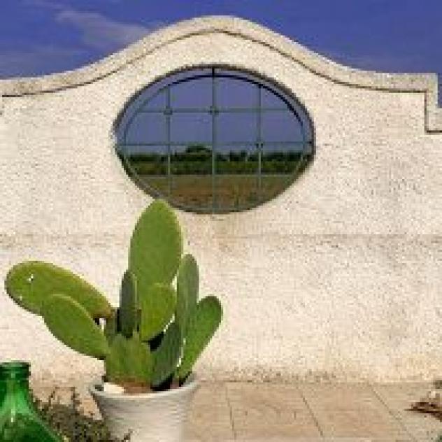 Azienda Agricola Casal Duca di Tribuzio Vincenza - Foto 4