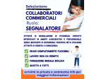 Collaboratore commerciale - segnalazione contatti