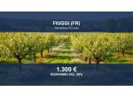 Immobile in asta di 1030 m² in vendita a Fiuggi