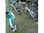 Bici pieghevole  Grazielle misura 20