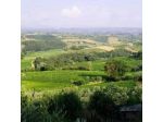 Agriturismo Cesani