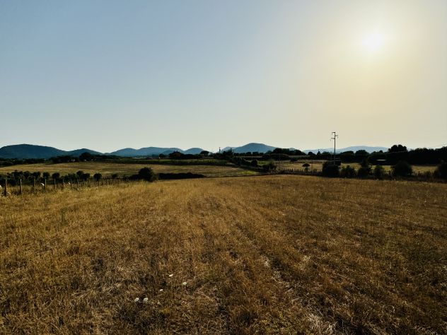 Terreno Agricolo in Bracciano - Foto 9
