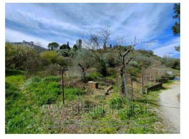 IMMOBILI-ALTRA CATEGORIA-località Berardozzo - Foto 2