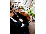 Musica matrimonio a Torino (musica per cerimonie ed eventi)