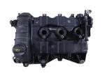 COPERCHIO PUNTERIE CITROEN C3 Serie 9812111980 HM05 Benzina 1200 (16)