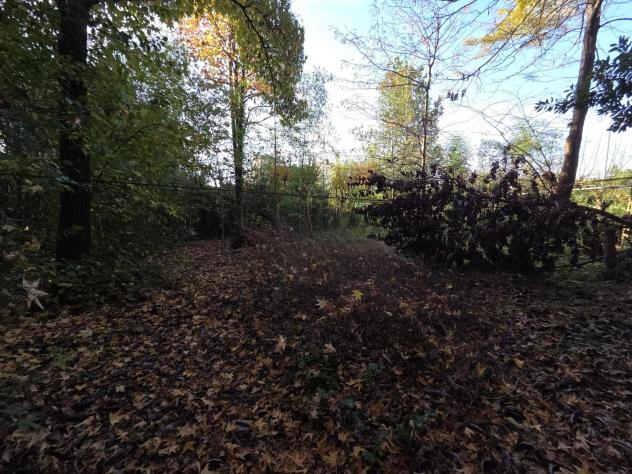 Terreno edif. residenziale in vendita a Segromigno In Monte - Capannori 2000 mq Rif: 1361787