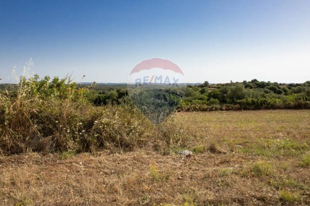 Terreno in vendita a Noto, Testa Dell'acqua - Foto 5