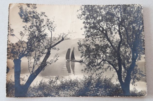 Fotocelere di A. Campassi