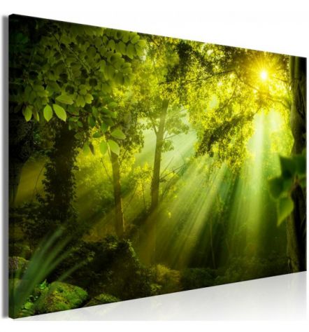 Quadro Foresta Verde 200x80 E 225x90 ARREDALACASA