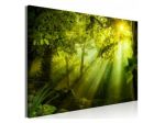 Quadro Foresta Verde 200x80 E 225x90 ARREDALACASA