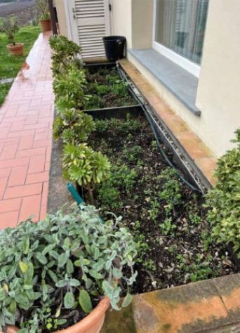 Immobile in asta di 123 m² con più di 5 locali e box auto in vendita a Capannori - Foto 3