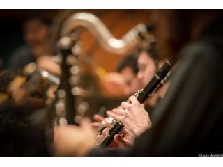Lezioni Clarinetto e Clarinetto basso