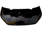 COFANO TUNING AIXAM GAMME VISION CITY COUPE CROSSOVER MINAUTO