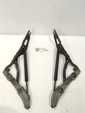 CERNIERE BAULE COFANO POSTERIORE DX SX BMW Serie 3 E90 Berlina 7060628 7060627 7250308 M47N204D4 (0508) - Foto 2