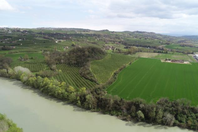 Agricolo in vendita a Cherasco - Foto 9