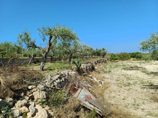 Terreno in vendita a Pachino - Foto 8