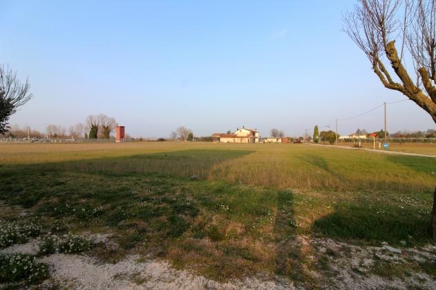Seminativo in vendita a Rimini - Foto 2