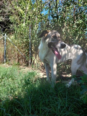 Maya: bellissima principessa taglia grande - Foto 9