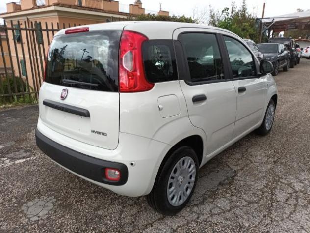 FIAT Panda 1000 HYBRID PANDINA POP 65CV ITALIA rif. 23999454 - Foto 4