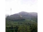 Amandolevanto B&B