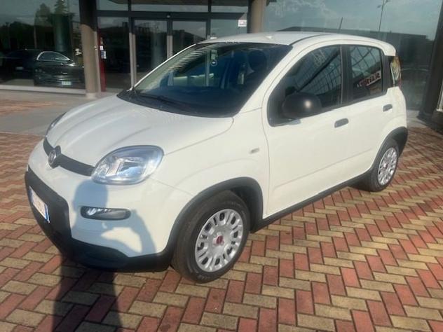 FIAT Panda 1.0 FireFly S&S Hybrid (NOLEGGIO) rif. 21186162