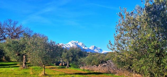 Magazzino in vendita a Loreto Aprutino - Foto 10