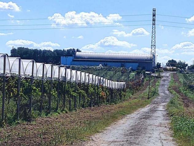 Immobile in asta di 100 m² in vendita a Licodia Eubea - Foto 5