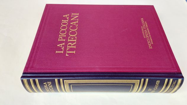 La Piccola Treccani IV DREP-GAMB Dizionario enciclopedico Ed.Treccani, Roma 1995 - Foto 2