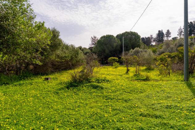 Agricolo in vendita a Catania - Foto 14