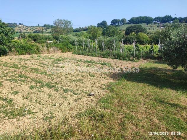 Occasione unica per amanti della natura e della campagna! - Foto 14