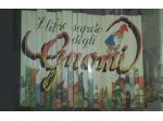 Collana completa "Il libro segreto degli Gnomi"