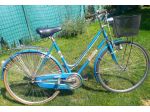 Donna classica con cestino