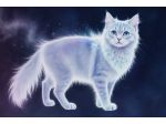 Corso di Terapia Spirituale per Animali Online