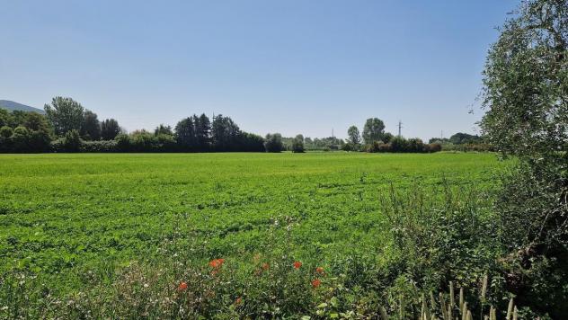 Villetta bifamiliare in vendita a San Giuliano Terme 160 mq Rif: 1445059 - Foto 3