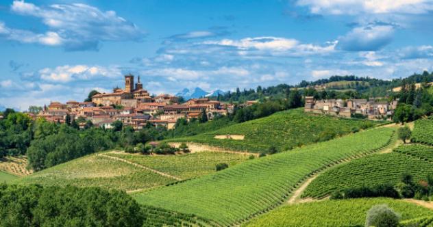 Terreno di 1 m² in vendita a Fubine Monferrato