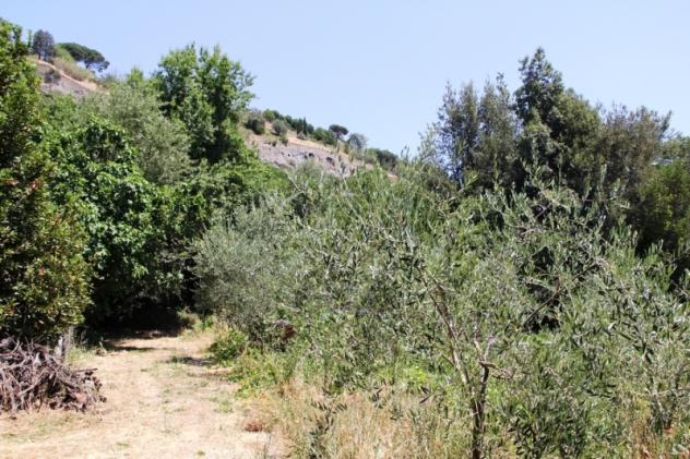 Orvieto - Vendesi terreno di circa 5500 mq nelle immediate vicinanze della rupe di Orvieto