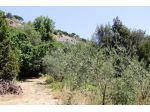 Orvieto - Vendesi terreno di circa 5500 mq nelle immediate vicinanze della  &hellip;