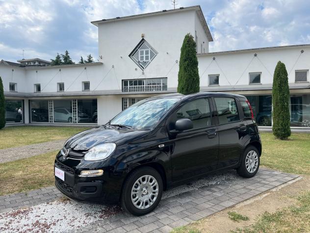 FIAT Panda 1.0 FireFly 70cv S&S Hybrid 5 posti - Foto 3