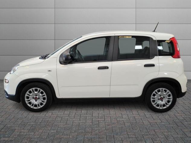 FIAT Panda III 2021 1.0 firefly hybrid s&s 70cv 5p.ti - Foto 2