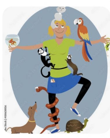 Pet Sitter pappagalli e uccellini