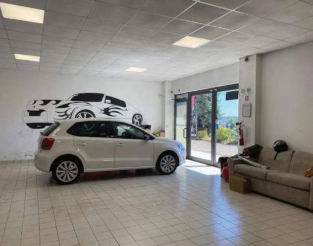 Immobile in asta di 2986 m² in vendita a Montefiascone - Foto 13