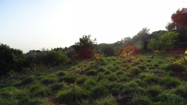 Area verde in vendita a Mascalucia - Foto 2