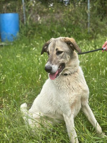 Maya: bellissima principessa taglia grande - Foto 8
