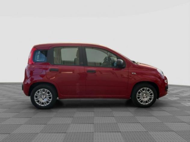 FIAT Pandina Pandina 1.0 FireFly 65 CV Hybrid Icon rif. 24122144 - Foto 5