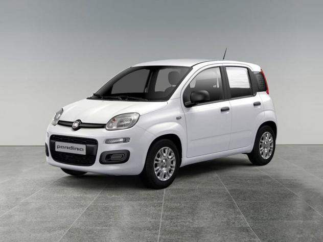 FIAT Pandina Pandina 1.0 firefly hybrid Pop s&s 65cv con CNJ-Badge (red) su montante laterale